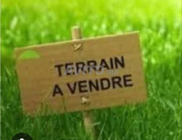 Terrain titre 8500m² Route Abdellah Ghiate