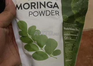 moringa shab la salle