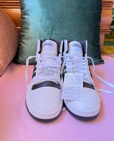 baskets Adidas
