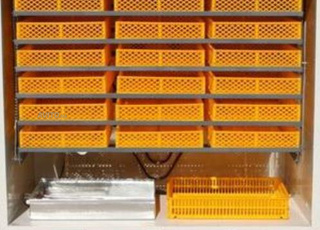 Couveuse d’œufs 1056