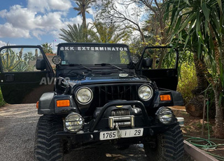 Jeep Wrangler préparée off road