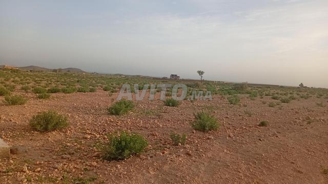 Terrain titre 16km Stade Marrakech