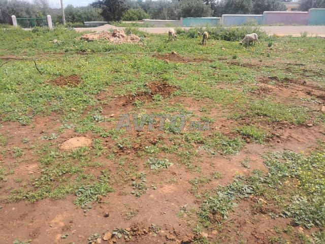 آيت الطالب طريق اللواثه قرب المسجد مقابل المدرسه 