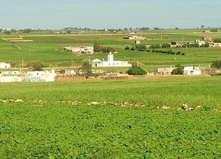 terrain à vendre titré notaire 