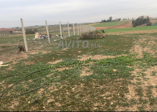 هكتار والف متر محفضة مسيجة 9كم من تيفلت