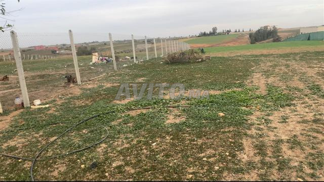 هكتار والف متر محفضة مسيجة 9كم من مدينة