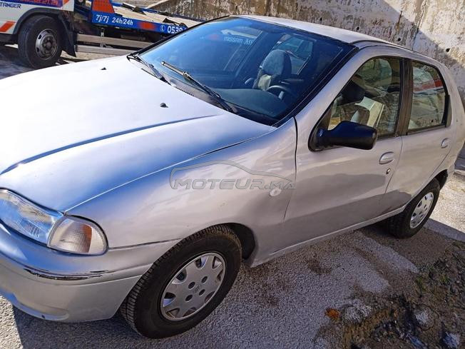 palio