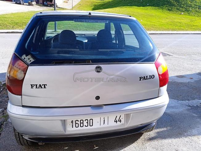 palio