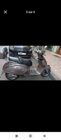 City x alfa 49 avec l'assurance 6 Mois 