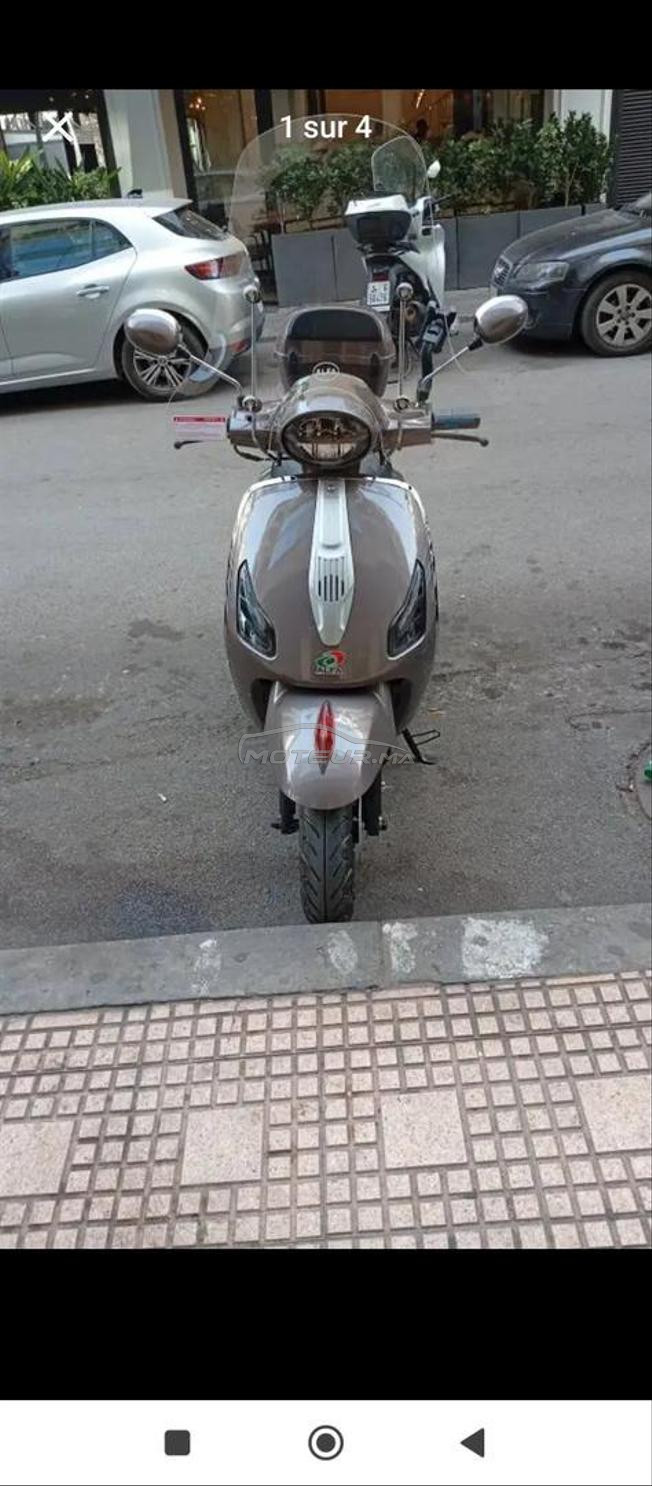 City x alfa 49 avec l'assurance 6 Mois 