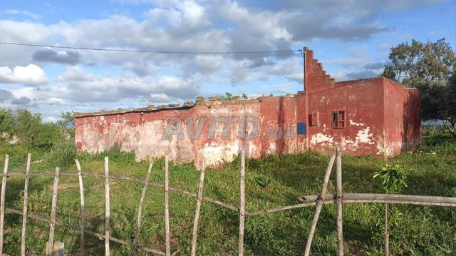 الف متر ومنزل على طريق 7كم من تيفلت