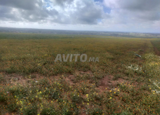 Un lote entre Casablanca de Mohammedia