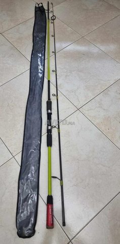 canne a pèche spinning pro