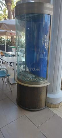aquarium très bon état