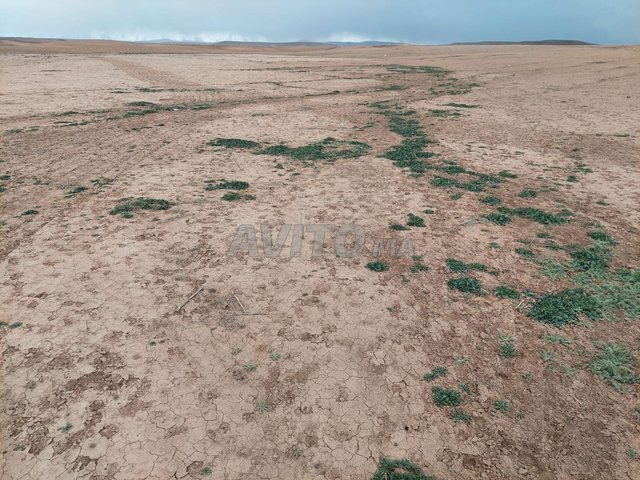 أرض فلاحية محفظة 15 هكتار قرب ميدلت للتفاح