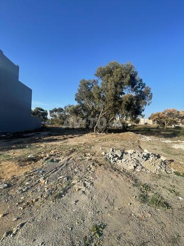 lot de terrain en vente bouznika - بقعة فيلا للبيع