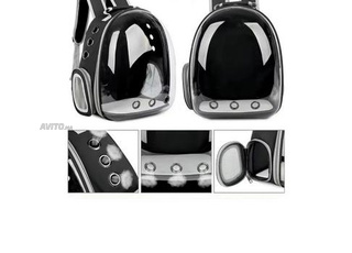 حقيبة ظهر للقطط