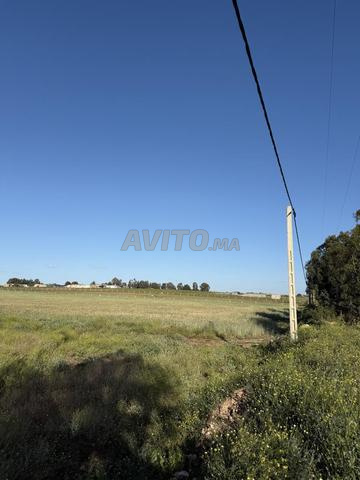 14000 mètre titré sur la route goudronnée  - 2