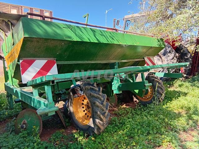 Plantage de pomme de terre