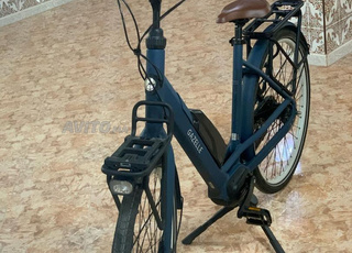 4 bike electric super 