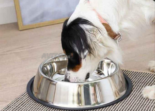 Gamelle inox pour chiens , 38cm