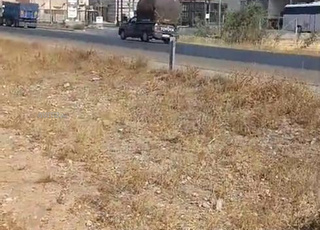 Terrain 1ha sur la route à vendre