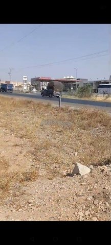 Terrain 1ha sur la route à vendre