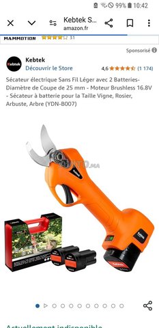 secateur électrique sans fil keptek