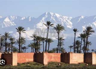 Terrain sur route Ourika
