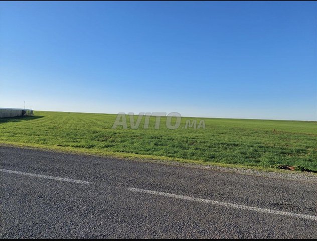 terrain agricole sur route goudronnée 