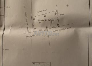 أرض في الصفاصيف لاسقة مع السوق