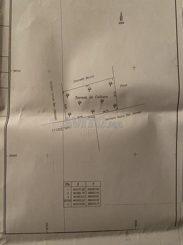 أرض في الصفاصيف لاسقة مع السوق