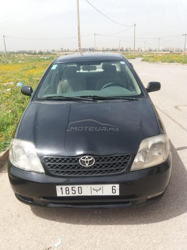 toyota corolla diesel