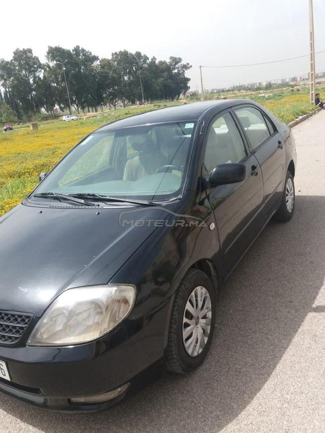 toyota corolla diesel