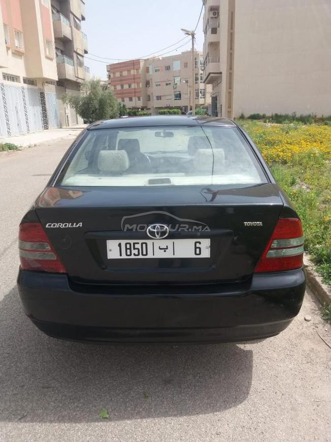 toyota corolla diesel