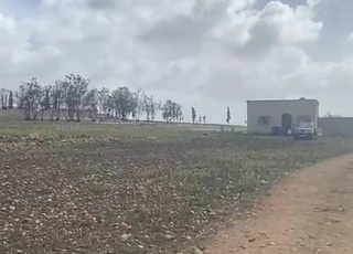 ثمنين خدام للبيع تيتر هوثه 