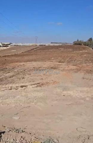 Bonne opportunité terrain plus d'un hectare