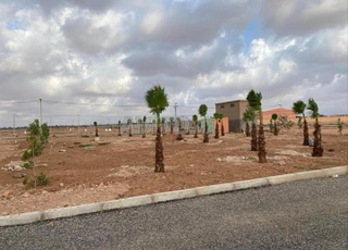 Lot de villa 217m a tiznit