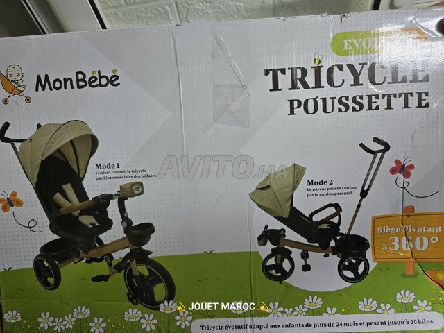 Tricycle mon bébé musical et lumineux