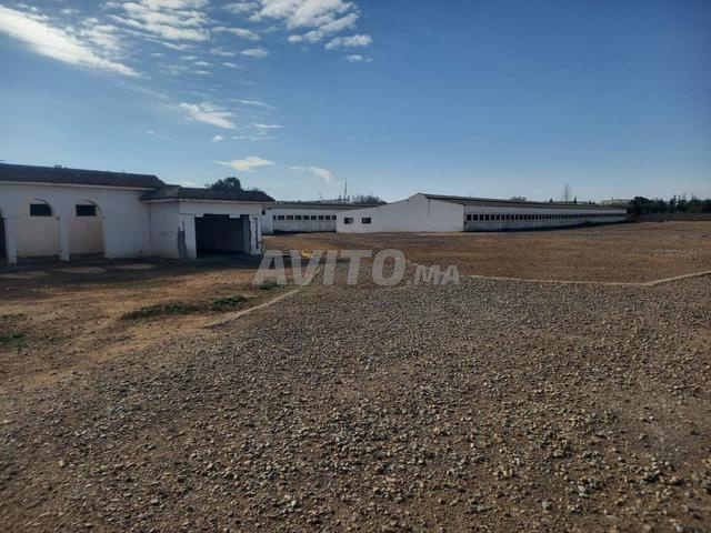 Hangar Industriel Idéal Logistique ou Industrie - 2