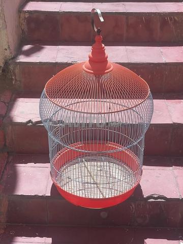 cage aux oiseau plus un couple Pérouche 