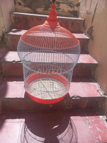 cage aux oiseau plus un couple Pérouche  - 2