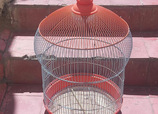 un jolie cage aux oiseaux plus un couple Pérouche 