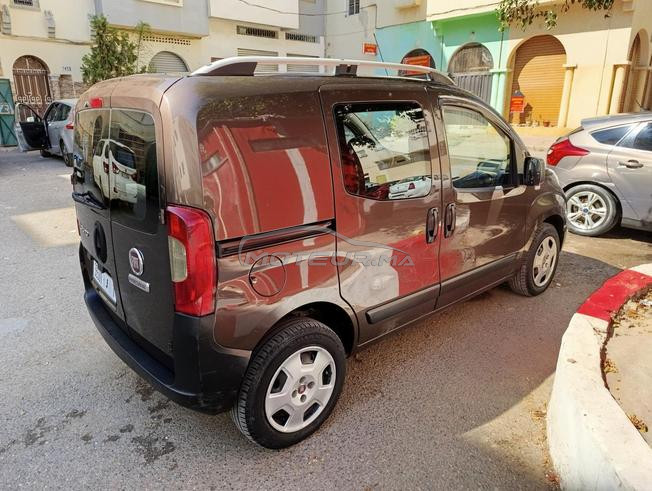  fiorino 2021 sbagha lawla 