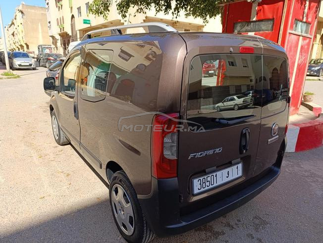  fiorino 2021 sbagha lawla 