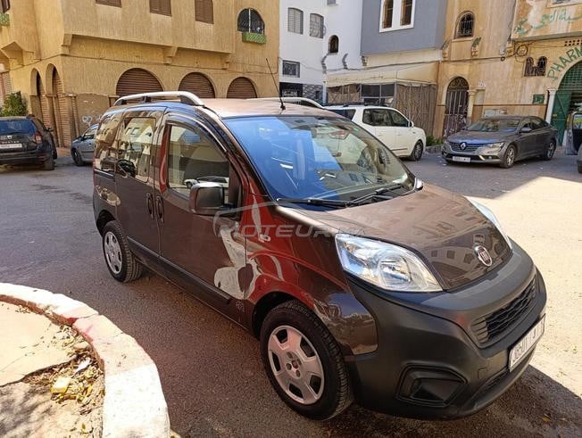  fiorino 2021 sbagha lawla 