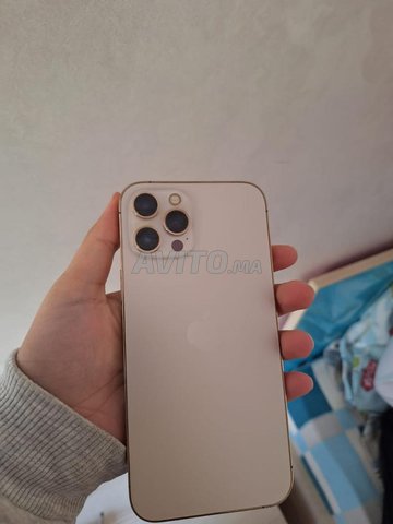iphone 12 pro max 256 gb