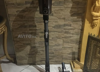 aspirateur sans fil rowenta xforce flex 15.60