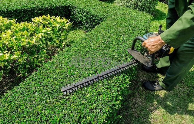 🌿 Entretien de Jardins et Espaces Verts 