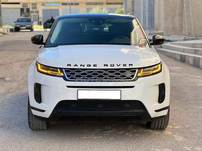 ronge rover bebe vilar